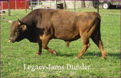 Legacy Jams Dunder #L00083LH-06HH (Click for Larger Image)