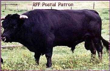 RFF Postal Patron #L00114MH-00HH (Click for Larger Image)