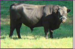 MF Herrs UR Sign #L00143MH-05HH (Click for Larger Image)
